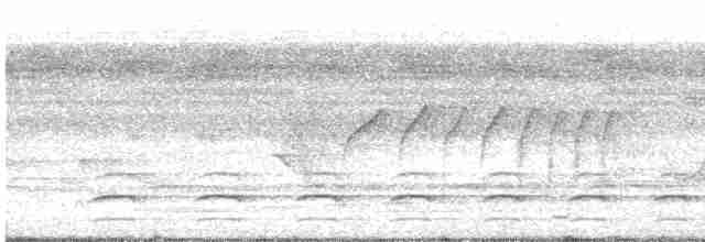 Тиран-карлик амазонійський - ML616073564