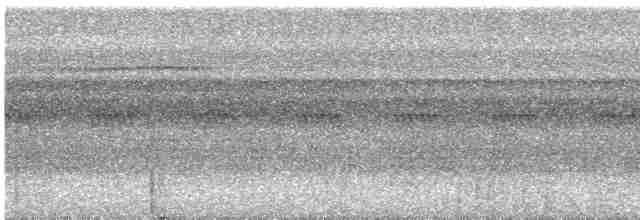 Aschgrau-Ameisenfänger - ML616073600