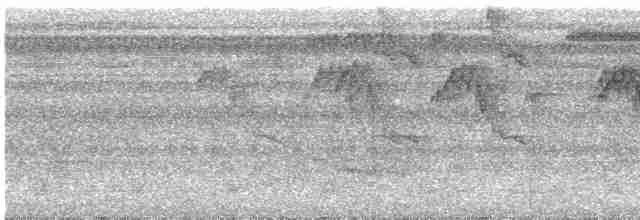 Черногорлый колибри-отшельник - ML616073669