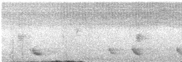 Méliphage carillonneur - ML616075213