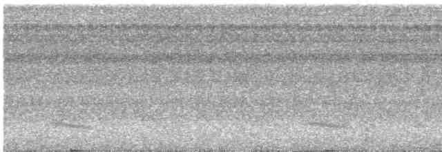 Kara Karınlı Sincap Guguğu - ML616075247