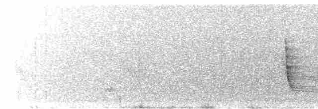 Мангровый виреон (ochraceus/semiflavus) - ML616076589