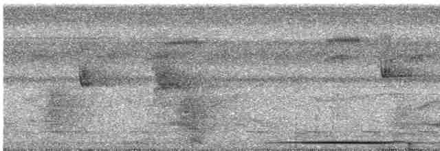holub šedočelý - ML616078835