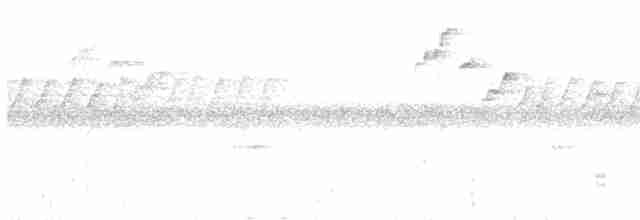 Прямоклювый колибри-отшельник - ML616079468