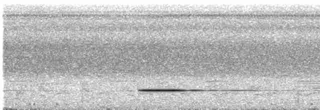 Cinereous Tinamou - ML616079554
