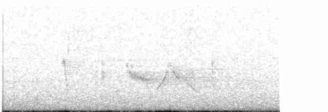 White-eyed Vireo - ML616081209