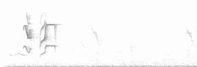 Graustirn-Dickichtschlüpfer - ML616081434