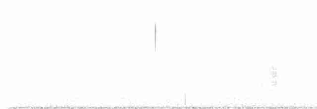 Tropenkreischeule - ML616081540