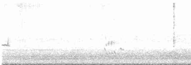 Loggerhead Shrike - ML616081545