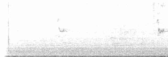 Loggerhead Shrike - ML616081555