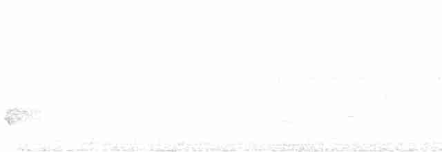 Черноспинный толстонос - ML616081829