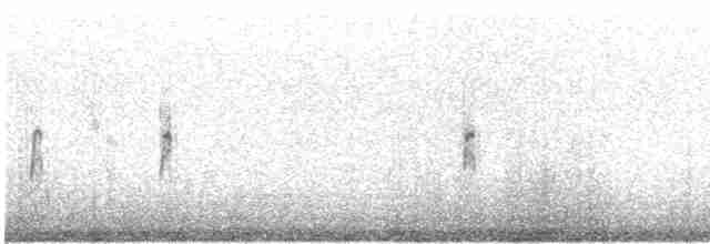 Плавунець плоскодзьобий - ML616081940