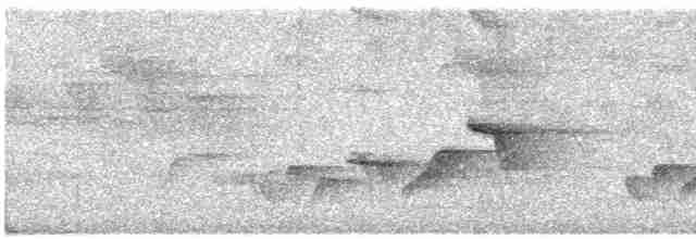 Серогрудый крапивник - ML616082917