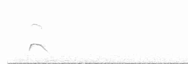 White-crested Elaenia - ML616083563