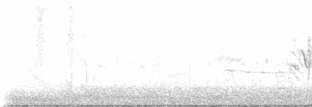 Braunaugenvireo (pusillus) - ML616083592
