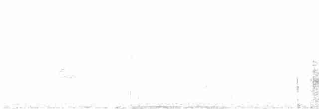 Голубокрылая червеедка - ML616083819