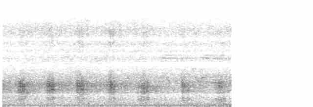 Common Merganser - ML616083876