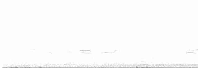 小水鴨 - ML616084802