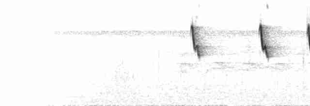 Медовичка білочерева - ML616087419
