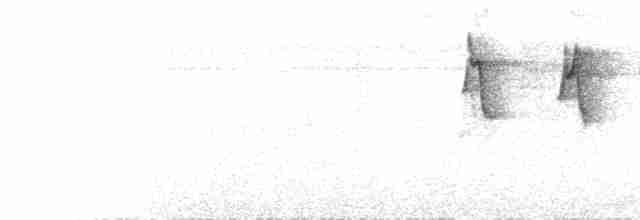 Медовичка білочерева - ML616087421