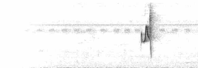 Медовичка білочерева - ML616087529