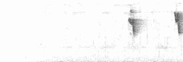Медовичка білочерева - ML616087638