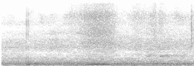 holub běloprsý - ML616088801