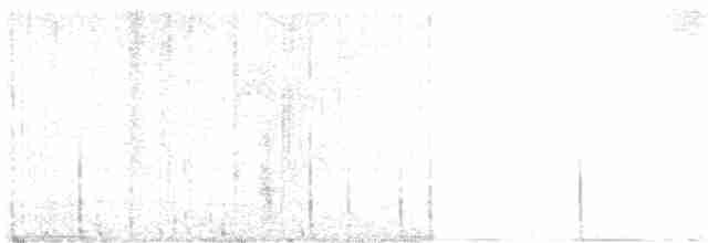Uzun Kuyruklu Karıncakuşu - ML616088938