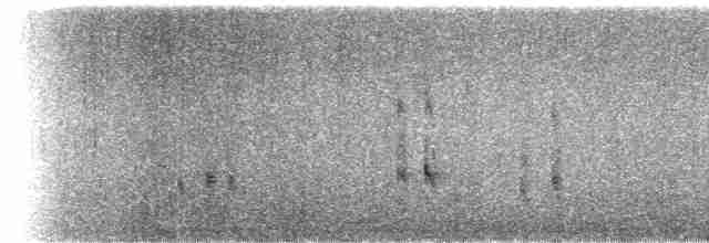 ארנריה אדמונית - ML616088952