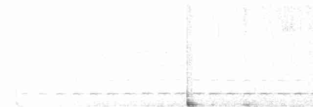 Schuppenbauch-Ameisendrossel - ML616088959