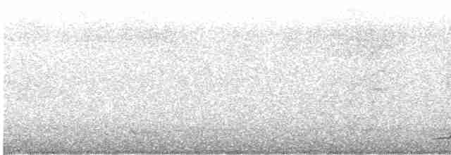 Polochion casqué (gordoni/ammitophilus) - ML616089909