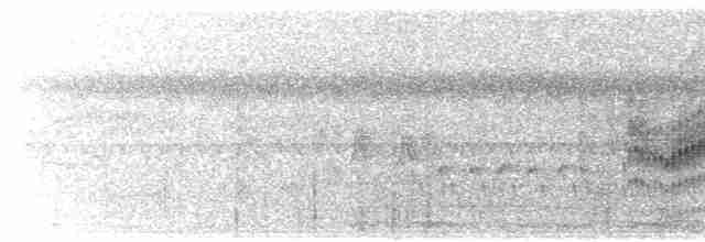 Поплітник плямистий - ML616093854