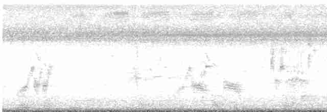 חרגולן סיבירי - ML616096624