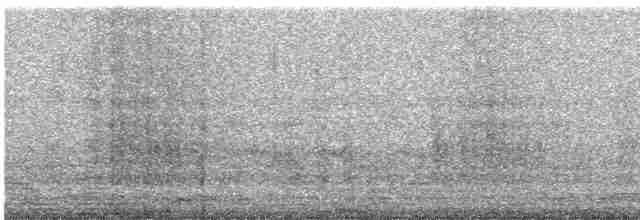 holub černopásý - ML616097303