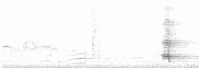 Boynuzlu Keşişkuşu - ML616097321