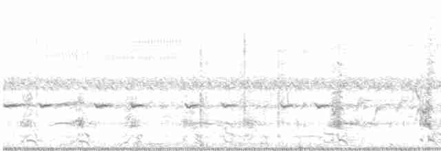 Plumed Egret - ML616099068