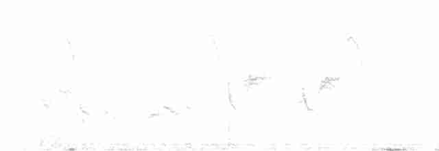 Горобець чорногрудий - ML616099884
