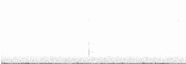 Каролинский крапивник - ML616101302