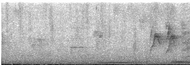 Küpeli Kumru - ML616101736
