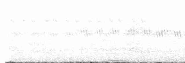 holub žlutoprsý - ML616102038