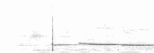 Malabar Islıkçı Bülbülü - ML616103245