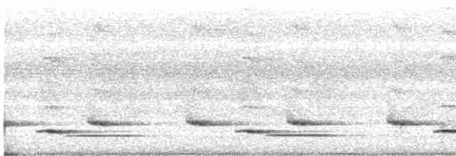 koroptev rezavohlavá (ssp. diversa) - ML616103437