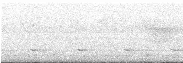 koroptev rezavohlavá (ssp. diversa) - ML616104073