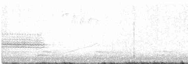 Münzevi Bülbül Ardıcı - ML616104861