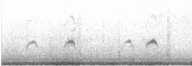 Плавунець плоскодзьобий - ML616105603