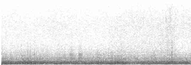 Kara Gözlü Pufla - ML616105640