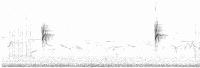 Plectrophane des neiges - ML616106350