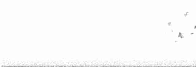 Тихоокеанский крапивник - ML616106982