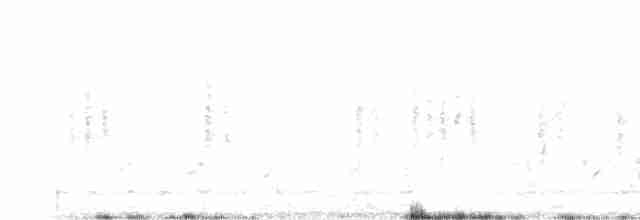 Thick-billed Warbler - ML616107487