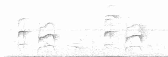 Streifenbrust-Dickichtschlüpfer - ML616108822